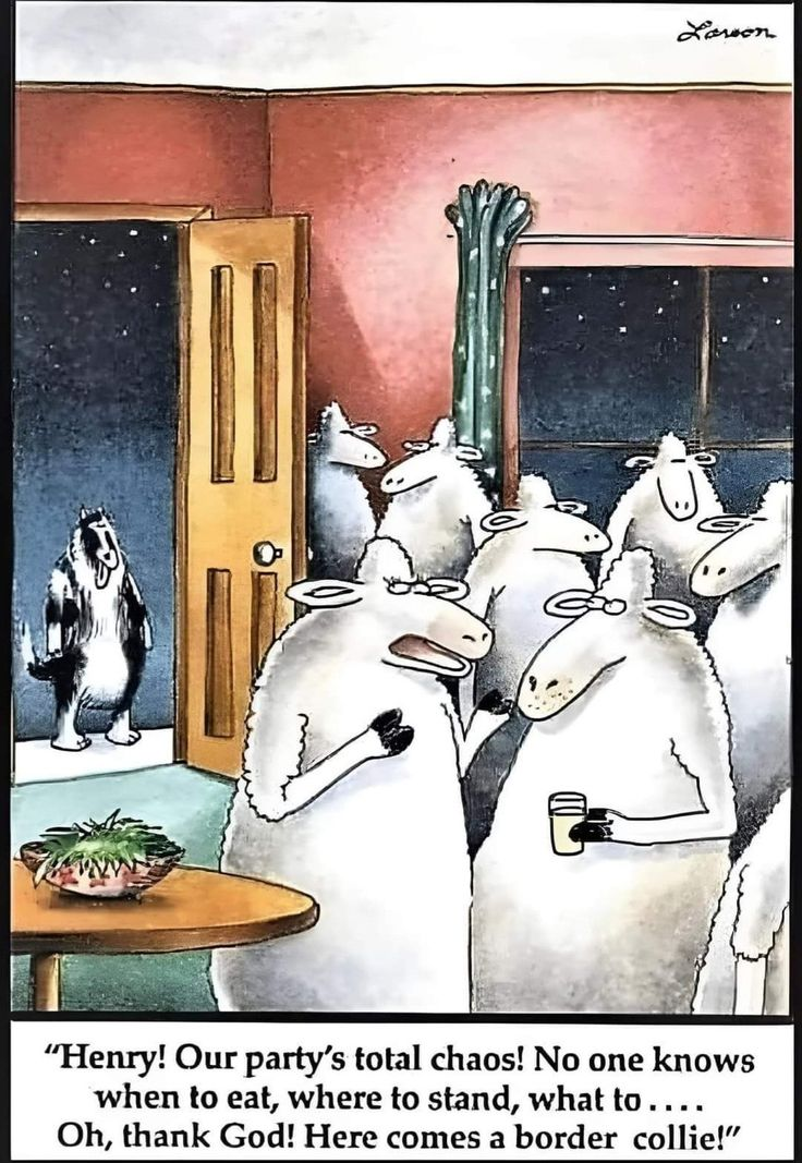 Posted media